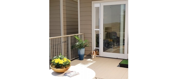 doggy door for apartments